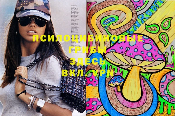 СК Балахна