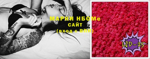 стафф Заволжск